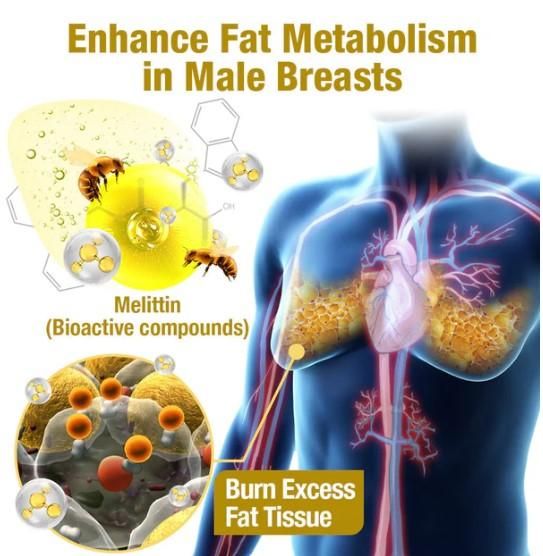 Orignal Chest Fat Remover Bee Venom Gynecomastia Heating Oil 🔥