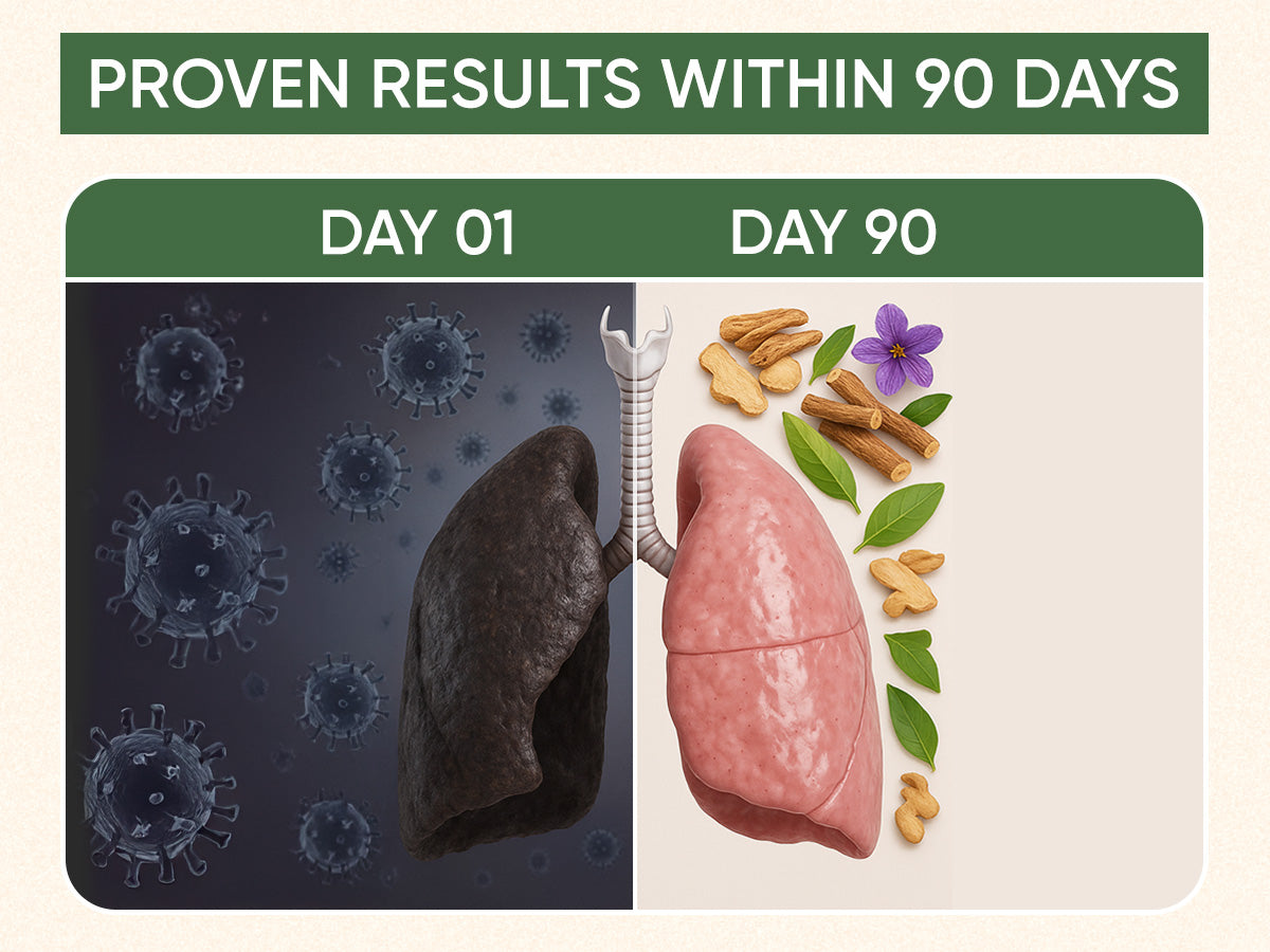 Lungs Detox Herbal Tea - (40 CUPS ) 🌿 BIG FAMILY PACK 🔥